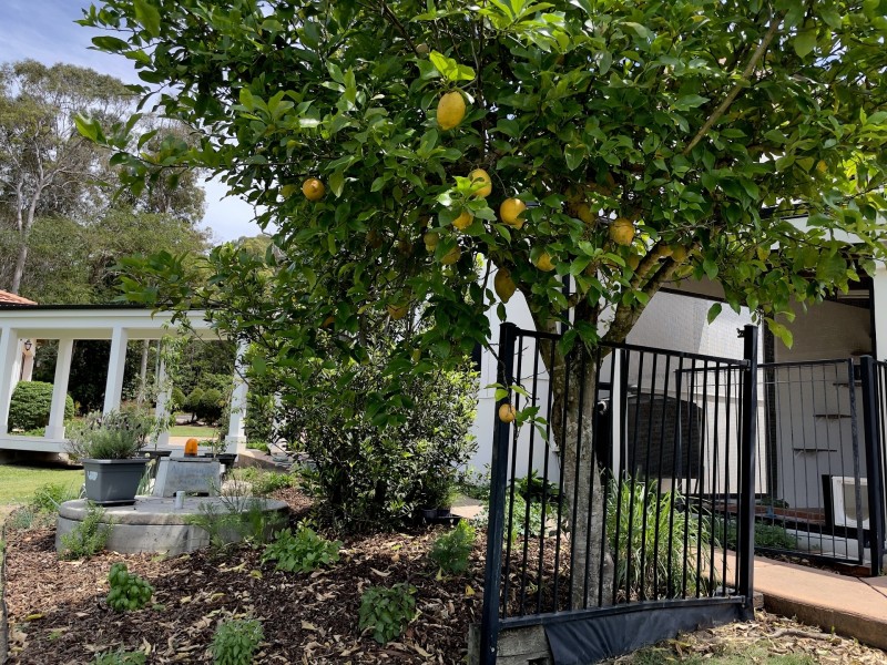 149-161 Verrierdale Rd, Verrierdale QLD 4562