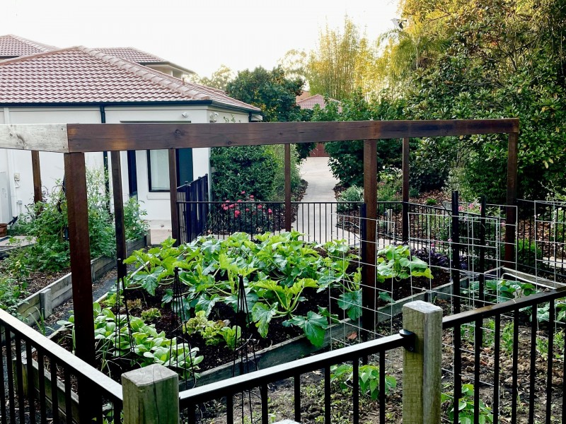 149-161 Verrierdale Rd, Verrierdale QLD 4562