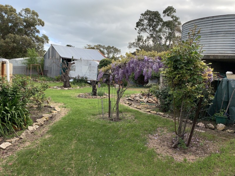 6 Plane Street, Lucindale SA 5272