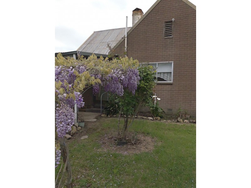 6 Plane Street, Lucindale SA 5272