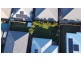 8 Preston Street, Ormeau Hills QLD 4208