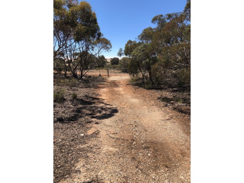 66 Jackson Road, Ettrick SA 5253