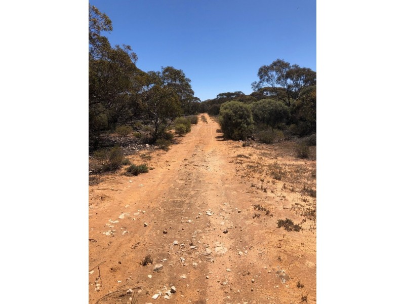 66 Jackson Road, Ettrick SA 5253