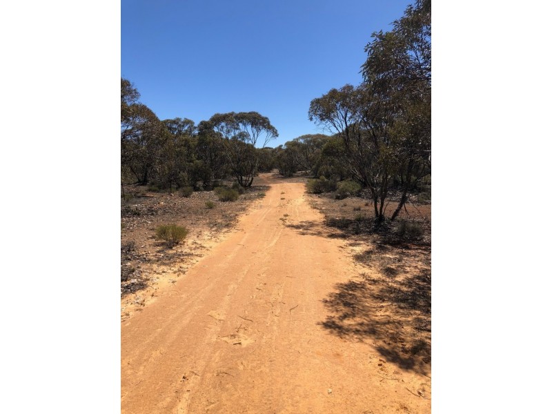 66 Jackson Road, Ettrick SA 5253