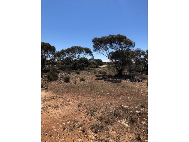 66 Jackson Road, Ettrick SA 5253