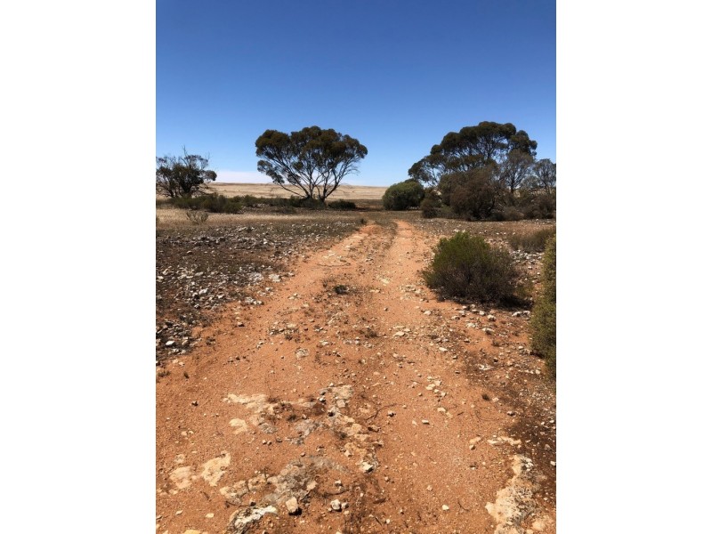 66 Jackson Road, Ettrick SA 5253