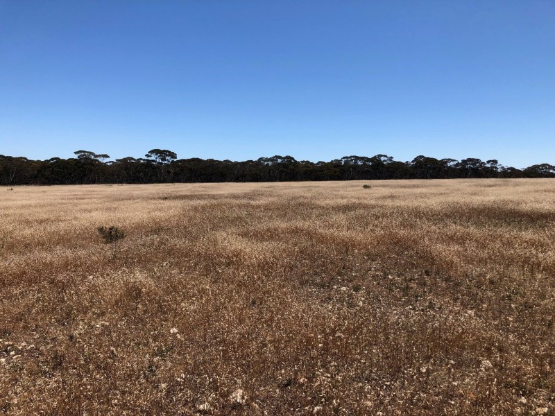 66 Jackson Road, Ettrick SA 5253