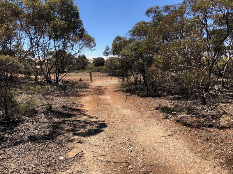 66 Jackson Road, Ettrick SA 5253