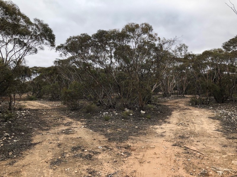 66 Jackson Road, Ettrick SA 5253