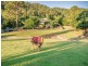 118 Crest Hill Drive, Wongawallan QLD 4210