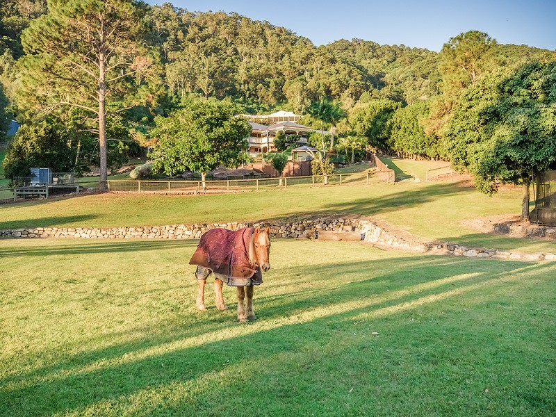 118 Crest Hill Drive, Wongawallan QLD 4210