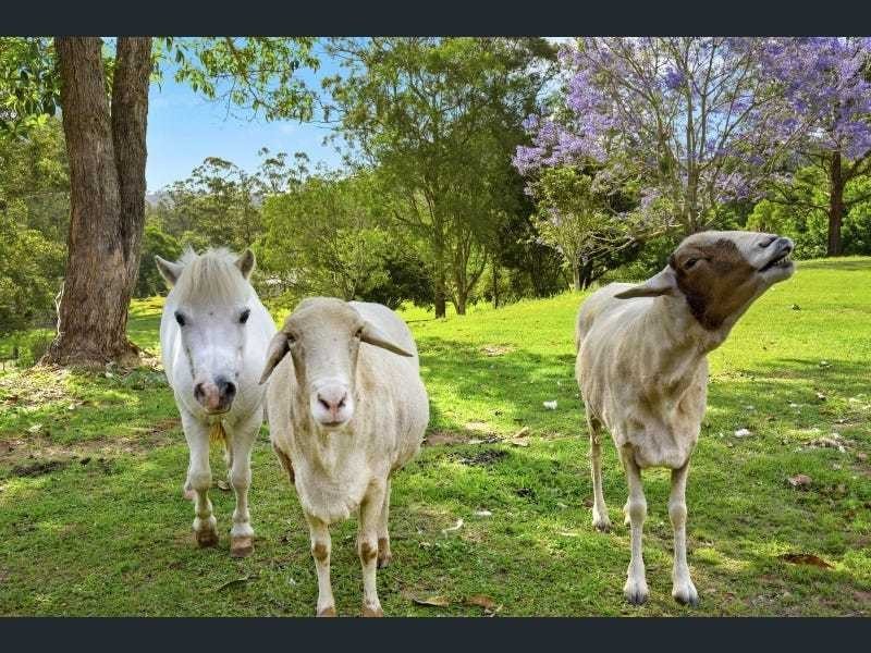 118 Crest Hill Drive, Wongawallan QLD 4210