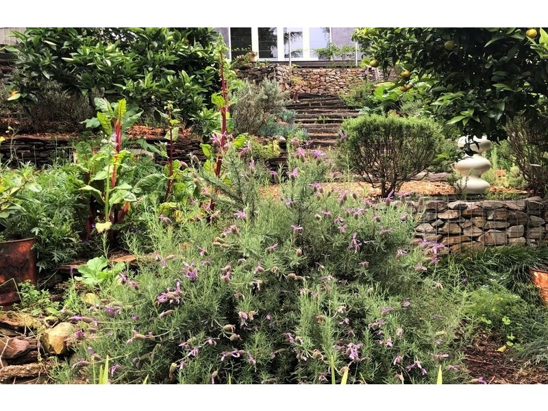 30 Hume Ave, Wentworth Falls NSW 2782