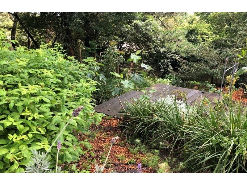 30 Hume Ave, Wentworth Falls NSW 2782