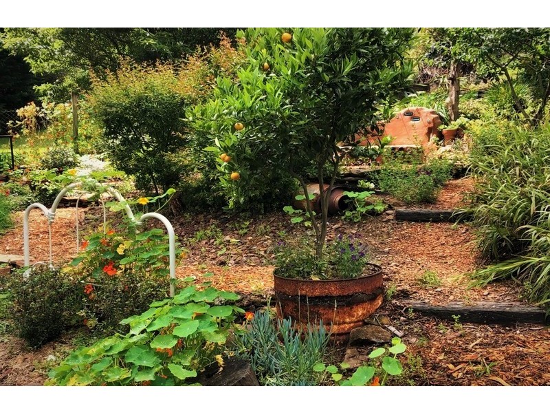 30 Hume Ave, Wentworth Falls NSW 2782