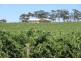 111 Schmerl Road, Auburn SA 5451