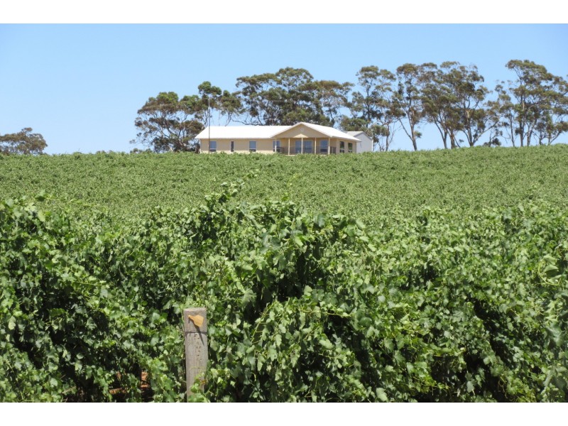 111 Schmerl Road, Auburn SA 5451