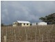 111 Schmerl Road, Auburn SA 5451