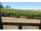 111 Schmerl Road, Auburn SA 5451