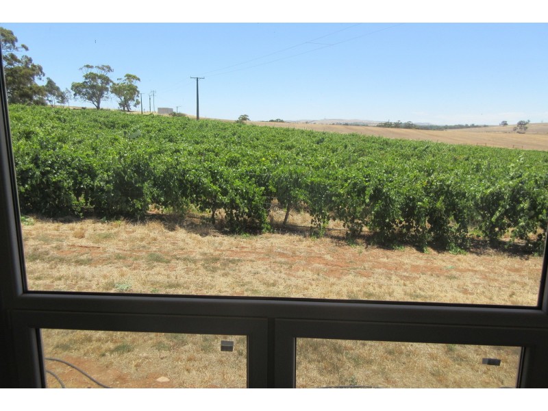 111 Schmerl Road, Auburn SA 5451