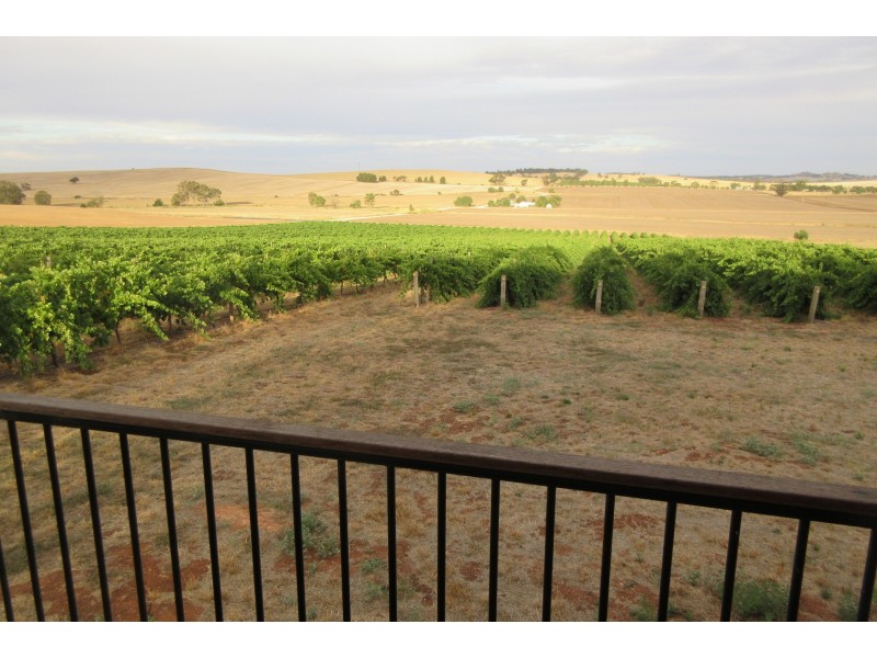 111 Schmerl Road, Auburn SA 5451