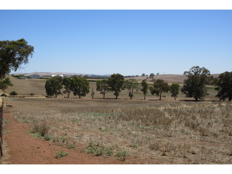 111 Schmerl Road, Auburn SA 5451