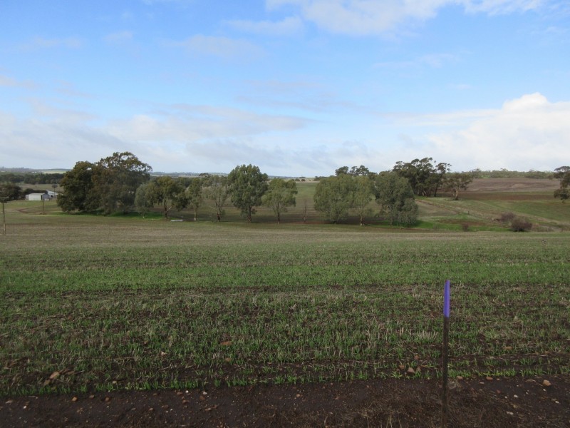 111 Schmerl Road, Auburn SA 5451