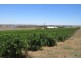 111 Schmerl Road, Auburn SA 5451