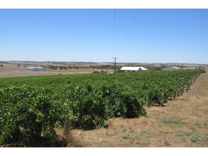 111 Schmerl Road, Auburn SA 5451