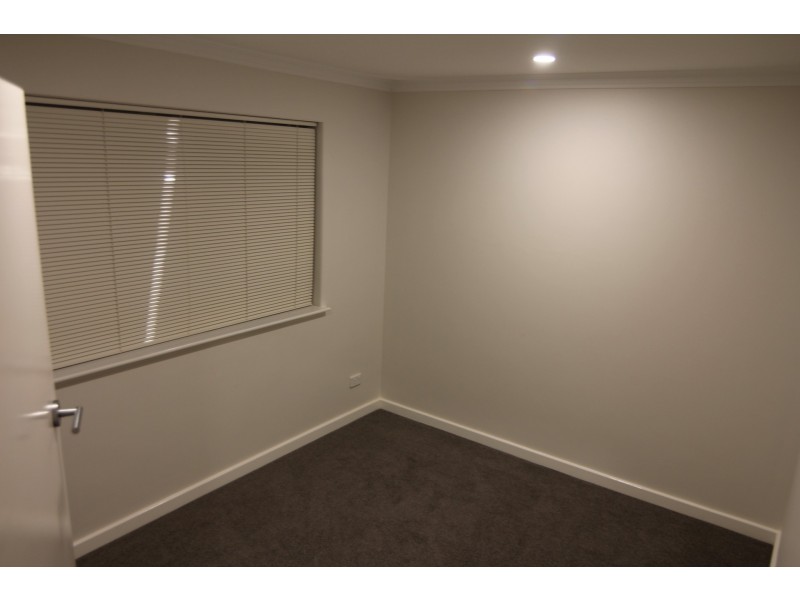 12B Paltridge Avenue, Carlisle WA 6101
