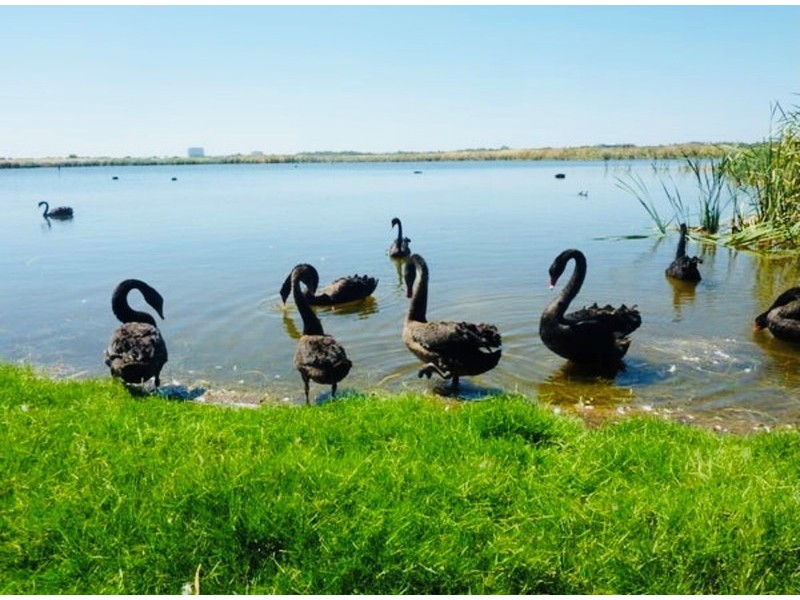 43/6 Waterway Court, Churchlands WA 6018