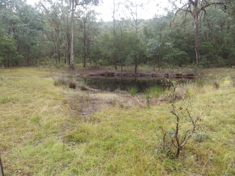 Tabberabbera VIC 3875