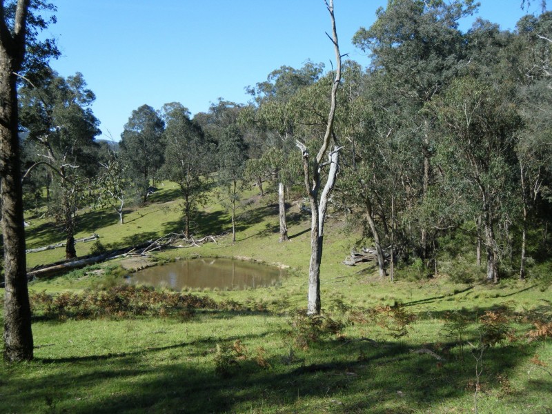 Tabberabbera VIC 3875