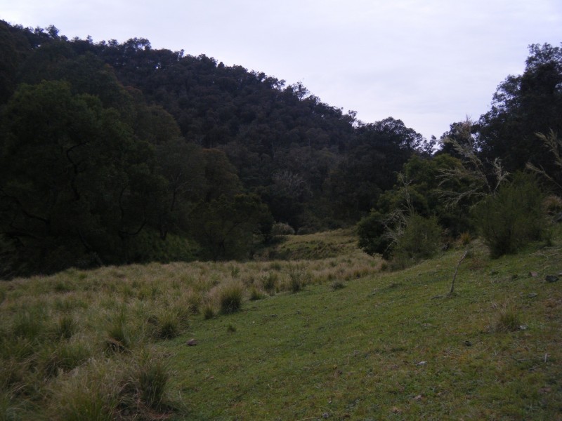 Tabberabbera VIC 3875