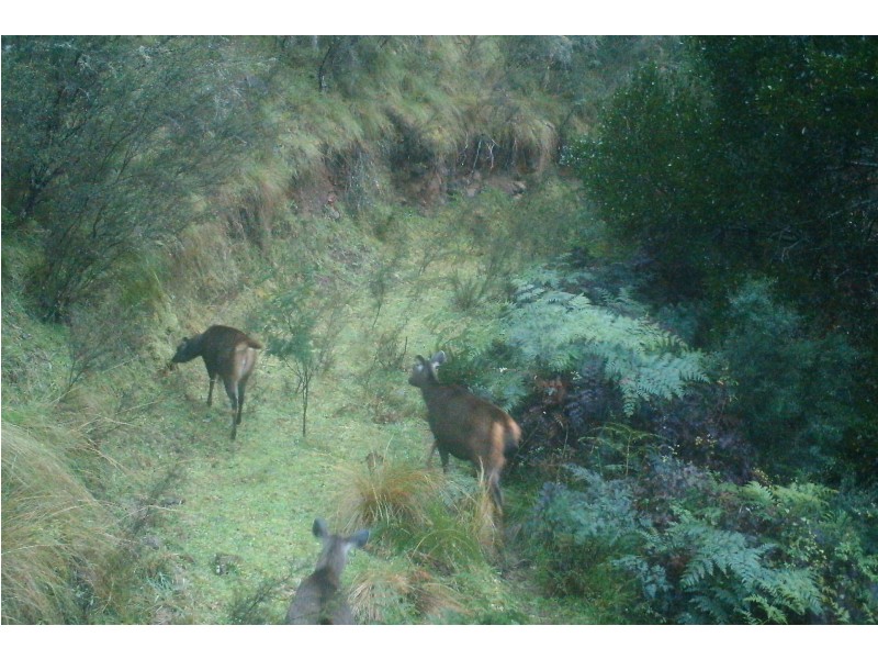 Tabberabbera VIC 3875