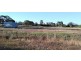 Lot 103 Cnr Southern and Becker Streets, Manjimup WA 6258