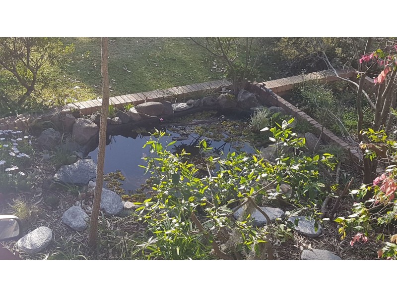 48 Fishery Road, Currarong NSW 2540