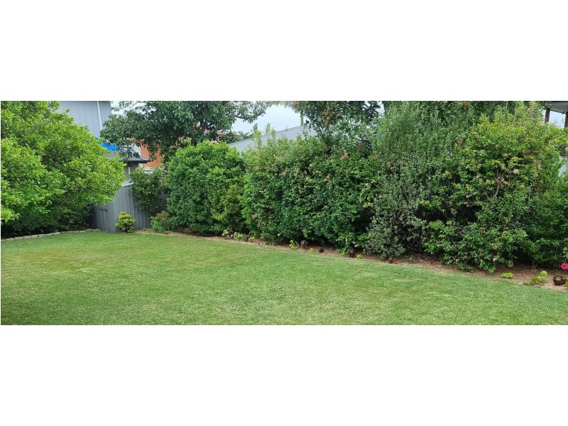 49 Pitt Road, North Curl Curl NSW 2099