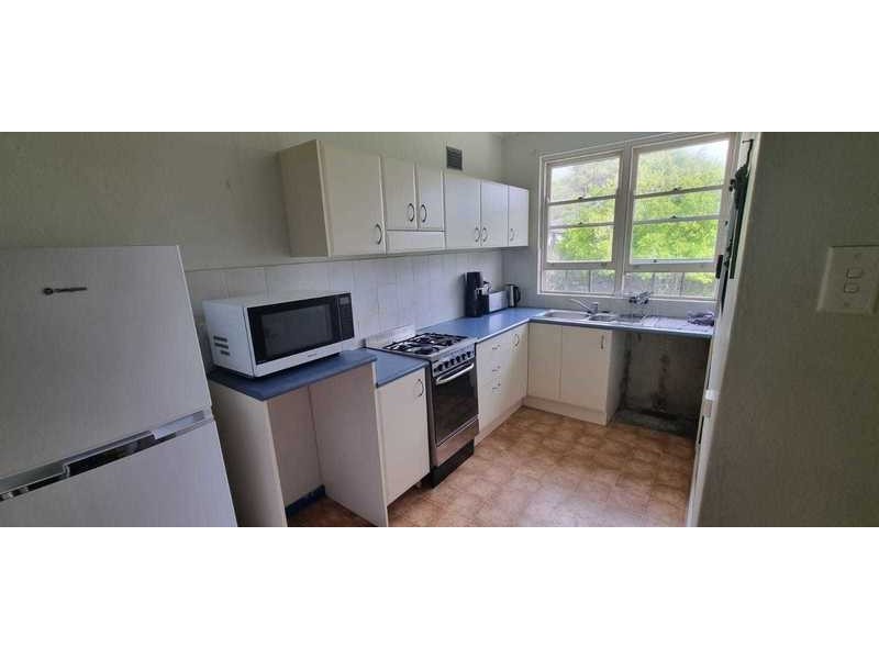 49 Pitt Road, North Curl Curl NSW 2099