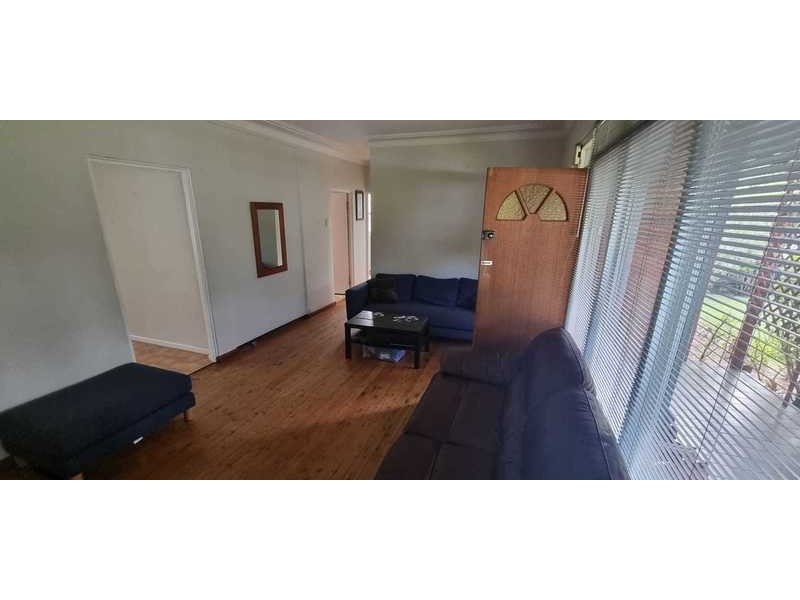 49 Pitt Road, North Curl Curl NSW 2099