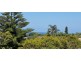 49 Pitt Road, North Curl Curl NSW 2099