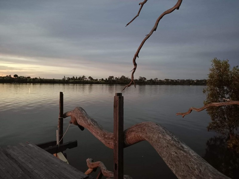 3 The Pines Court, Millbank QLD 4670