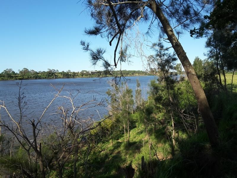 3 The Pines Court, Millbank QLD 4670