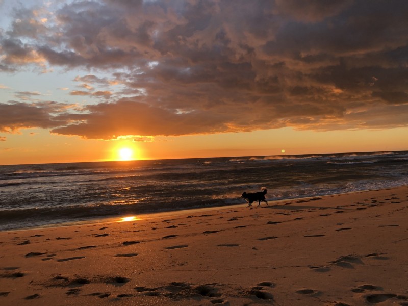 24 Binthalya Street, Golden Bay WA 6174