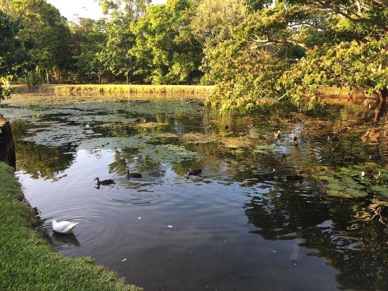 Innisfail Estate QLD 4860