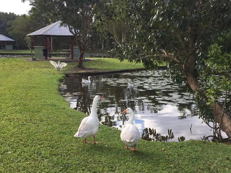 Innisfail Estate QLD 4860