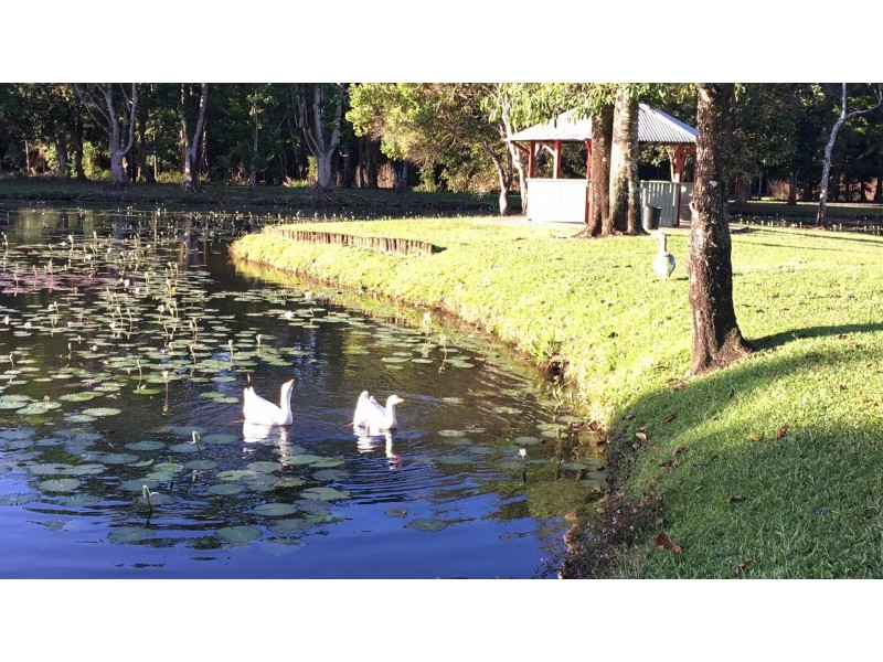 Innisfail Estate QLD 4860