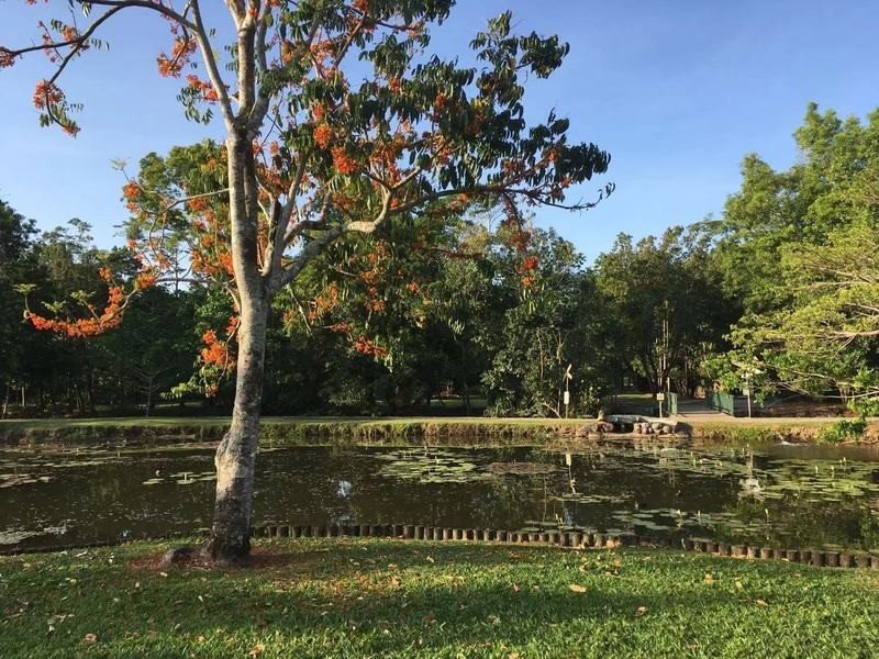 Innisfail Estate QLD 4860