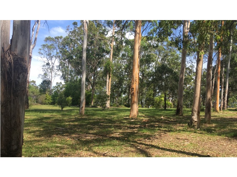 44 Old Pipers Creek Road, Dondingalong NSW 2440