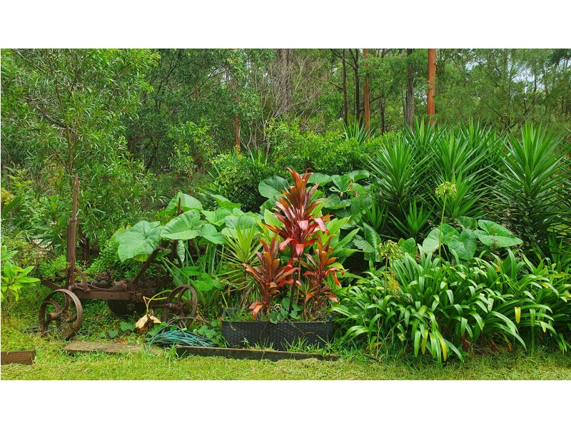 44 Old Pipers Creek Road, Dondingalong NSW 2440